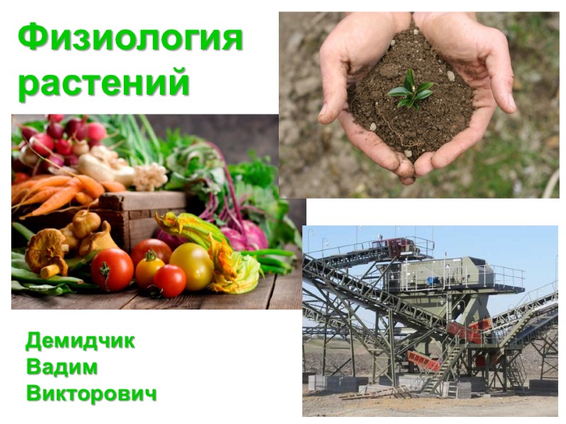 Физиология  растений  Демидчик  Вадим  Викторович